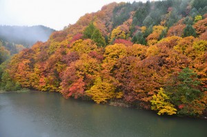 20131029