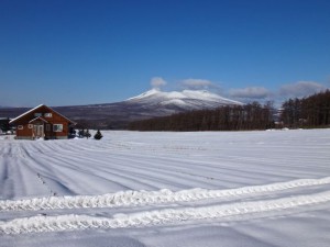 20141219