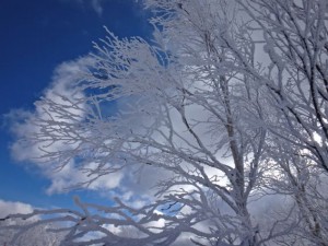 20150119